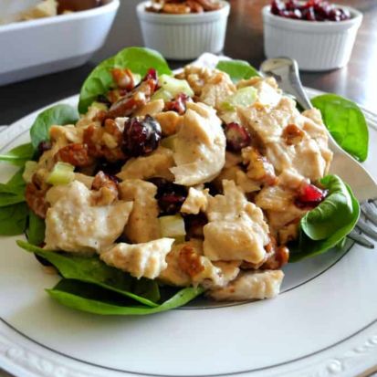Walnut-Cranberry Turkey Salad